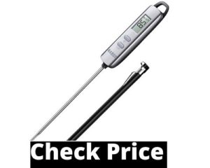 Best meat thermometer for smoking