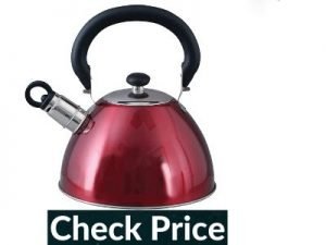 Best tea kettle for gas stove