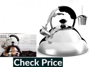 Best tea kettle for gas stove stainless steel kettle