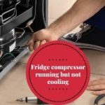 Fridge Compressor Running But Not Cooling