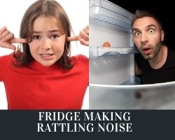 Fridge Making Rattling Noise