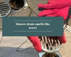 Shower Drain Smells Like Sewer